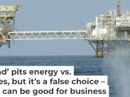 Boat strikes can harm or kill whales and are one concern about the oil industry’s environmental impact. Robyn Beck/AFP via Getty Images